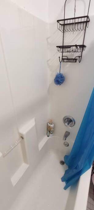 Accommodatie bij particulieren Cozy At Great Townhouse In Williamsburg New York